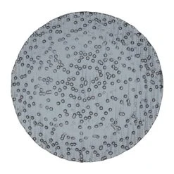 Table Passion Lot De 6 Assiettes Plate 28 Cm En Verre Gris