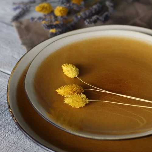 OGO Living Lot De 6 Assiettes Plates En Grès Jaune 27,5cm – Image 5