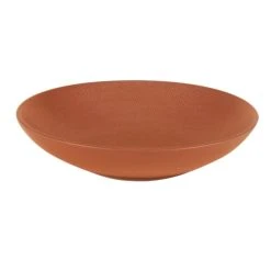 Table Passion Lot De 6 Grande Assiettes Creuse Terra 25 Cm En Grès Orange